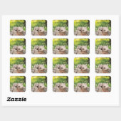 Schattigee Perzische Peeking Cat Vierkante Sticker (Vel)