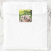 Schattigee Perzische Peeking Cat Vierkante Sticker (Tas)