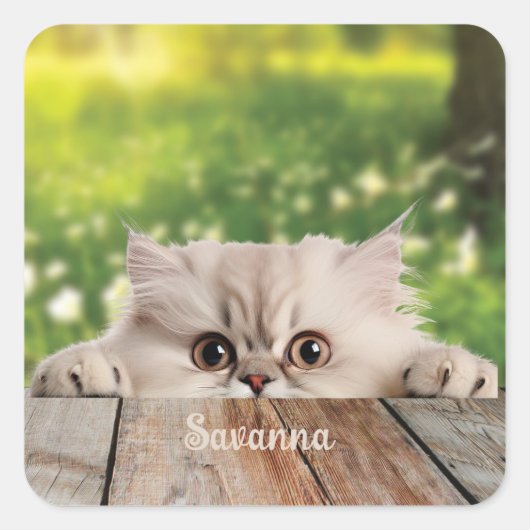 Schattigee Perzische Peeking Cat Vierkante Sticker (Voorkant)