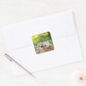 Schattigee Perzische Peeking Cat Vierkante Sticker (Envelop)