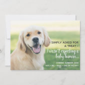 Schattigee Pet Baby Human Zwangerschapsaankondigin Aankondiging (Voorkant)