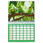 Schattigee Pet Budgie Parrot Fotografie 2025 Vogel Kalender (Mar 2026)