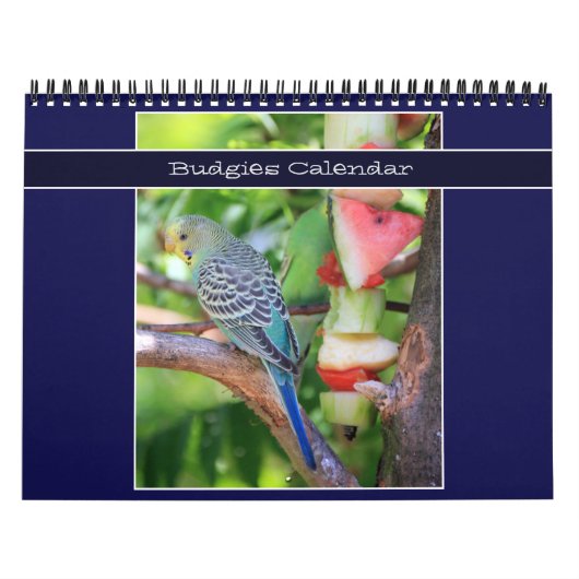 Schattigee Pet Budgie Parrot Fotografie 2025 Vogel Kalender (Hoes)