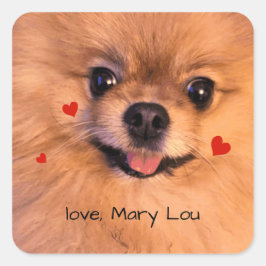 Schattigee Pet Dog Pomeranian Valentijn voor kinde Vierkante Sticker