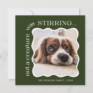 Schattigee Pet Foto Groene Kerst Feestdagenkaart