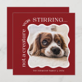 Schattigee Pet Foto Rode Kerst Feestdagenkaart (Voorkant / Achterkant)