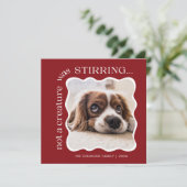 Schattigee Pet Foto Rode Kerst Feestdagenkaart (Staand voorkant)