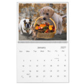 Schattigee Pet Friends van een geweldige soort in Kalender (Jan 2027)