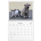Schattigee Pet Friends van een geweldige soort in Kalender (Feb 2027)