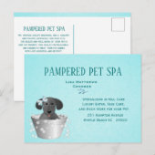 Schattigee Pet Groomer Budget Marketing Briefkaart (Voorkant / Achterkant)