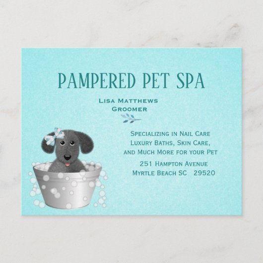 Schattigee Pet Groomer Budget Marketing Briefkaart (Voorkant)