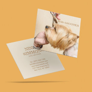 Schattigee Pet Grooming Care Service Foto Vierkante Visitekaartje