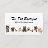 Schattigee Pet Grooming & Sitter Script Style Visitekaartje (Voorkant)