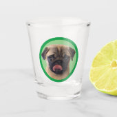 Schattigee Pet Pug Pup Hondenliefhebber Foto Stock Shot Glas (Voorkant)