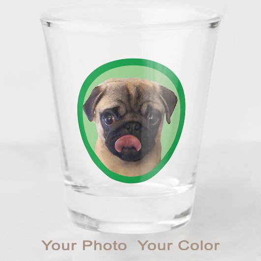Schattigee Pet Pug Pup Hondenliefhebber Foto Stock Shot Glas