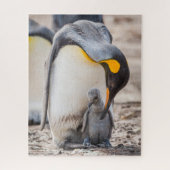 Schattigee Petting Penguin en Chick Legpuzzel (Verticaal)