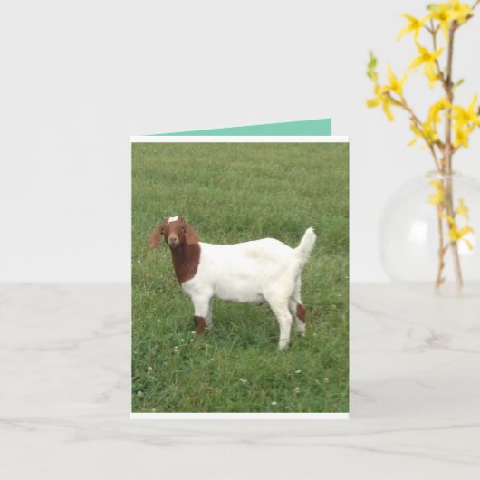 Schattigee pick me up briefkaart (Gele Bloem)