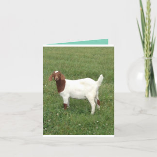 Schattigee pick me up briefkaart