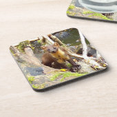 Schattigee Pijnmarter Hard Plastic 6 Onderzetter S (Linkerzijde)