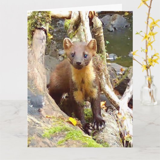 Schattigee Pine Marten op Fallen Tree Kaart (Gele Bloem)