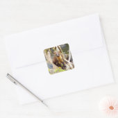 Schattigee Pine Marten op Fallen Tree Vierkante Sticker (Envelop)