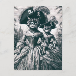 Schattigee piratenkatten briefkaart
