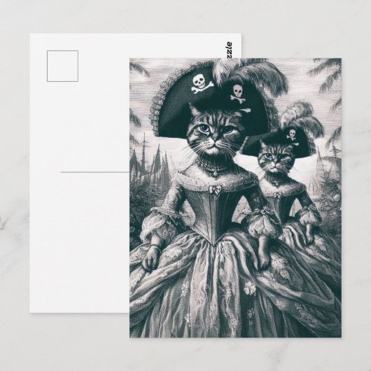 Schattigee piratenkatten briefkaart (Voorkant / Achterkant)