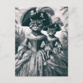 Schattigee piratenkatten briefkaart (Voorkant)