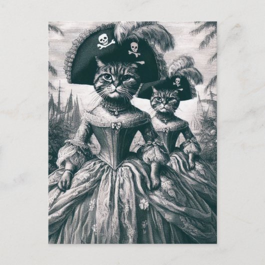 Schattigee piratenkatten briefkaart (Voorkant)