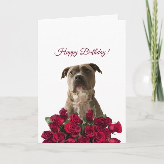 Schattigee Pit bull Dog Rozen Happy Birthday Kaart (Voorkant)