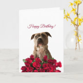 Schattigee Pit bull Dog Rozen Happy Birthday Kaart (Gele Bloem)