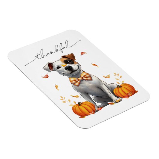Schattigee pitbull dankbare Herfst pompoenen Magneet (Rechterzijde)