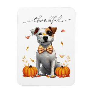 Schattigee pitbull dankbare Herfst pompoenen Magneet