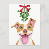Schattigee Pitbull Dog en Mistletoe Kerstmis Feestdagenkaart (Voorkant)