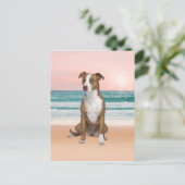 Schattigee Pitbull Dog Zittend op het strand met z Briefkaart (Staand voorkant)