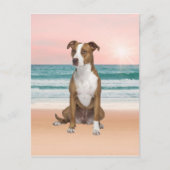 Schattigee Pitbull Dog Zittend op het strand met z Briefkaart (Voorkant)