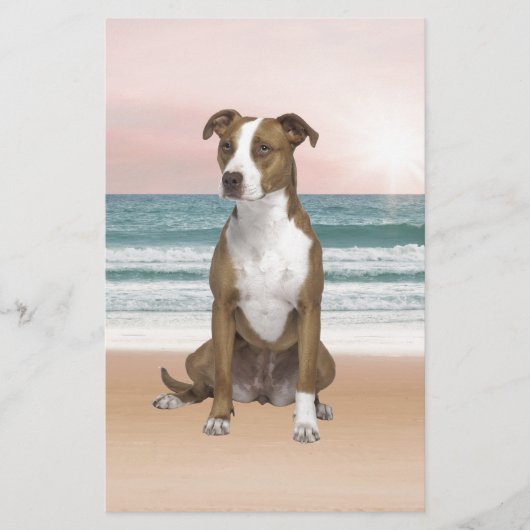 Schattigee Pitbull Dog Zittend op het strand met z Briefpapier (Voorkant)