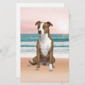 Schattigee Pitbull Dog Zittend op het strand met z Briefpapier (Voorkant / Achterkant)