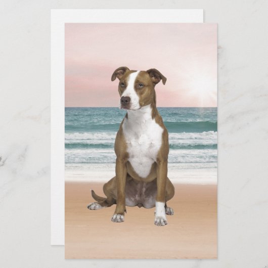 Schattigee Pitbull Dog Zittend op het strand met z Briefpapier (Voorkant / Achterkant)