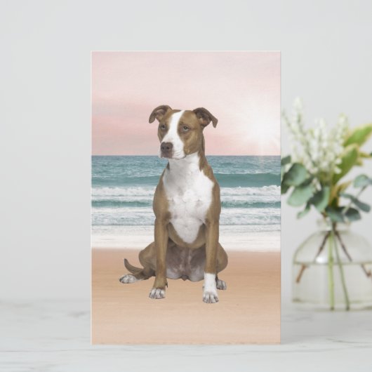 Schattigee Pitbull Dog Zittend op het strand met z Briefpapier (Staand voorkant)
