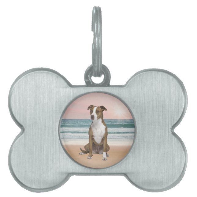 Schattigee Pitbull Dog Zittend op het strand met z Huisdieren Naamplaatje (voorkant)