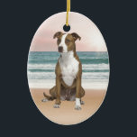 Schattigee Pitbull Dog Zittend op het strand met z Keramisch Ornament<br><div class="desc">Schattigee Pitbull Dog Zittend op het strand met zonsondergang</div>