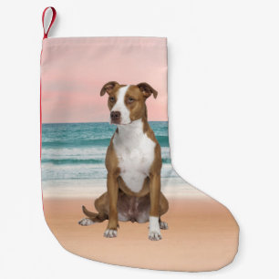 Schattigee Pitbull Dog Zittend op het strand met z Kleine Kerstsok