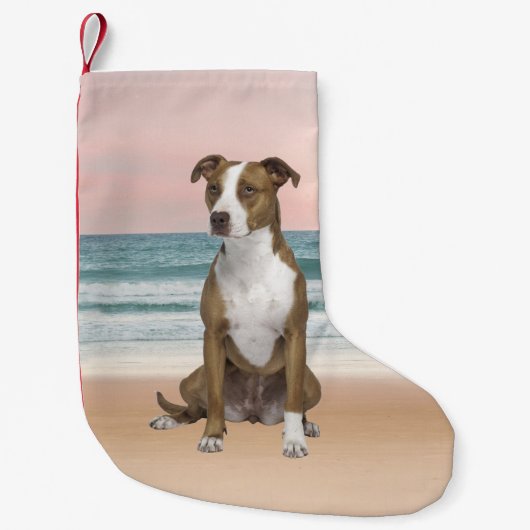 Schattigee Pitbull Dog Zittend op het strand met z Kleine Kerstsok (Voorkant)