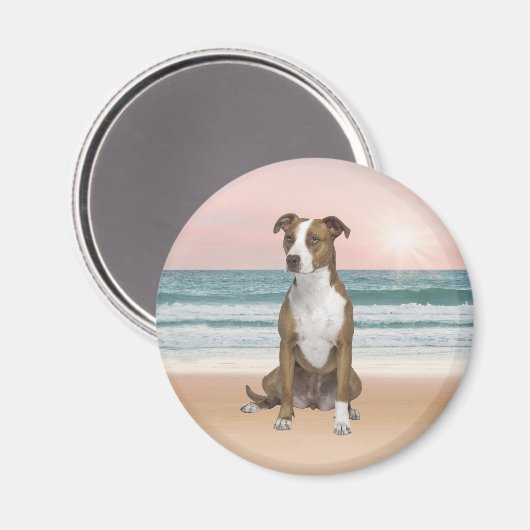 Schattigee Pitbull Dog Zittend op het strand met z Magneet (Voorkant / Achterkant)