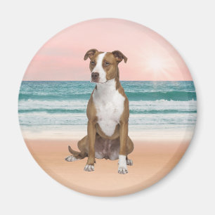 Schattigee Pitbull Dog Zittend op het strand met z Magneet
