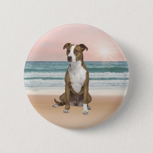 Schattigee Pitbull Dog Zittend op het strand met z Ronde Button 5,7 Cm (Voorkant)