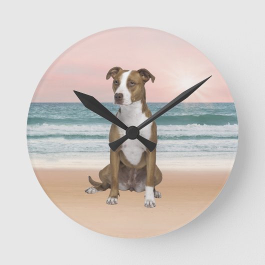 Schattigee Pitbull Dog Zittend op het strand met z Ronde Klok (Voorkant)