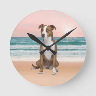 Schattigee Pitbull Dog Zittend op het strand met z Ronde Klok