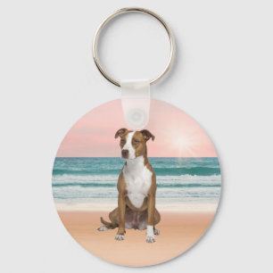 Schattigee Pitbull Dog Zittend op het strand met z Sleutelhanger